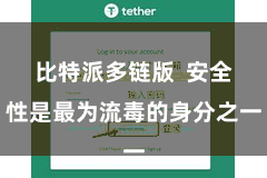 比特派多链版 安全性是最为流毒的身分之一