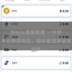 Bitpie最新教程 一分钟上手比特派钱包，轻松管理多链资产