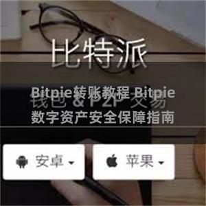 Bitpie转账教程 Bitpie数字资产安全保障指南