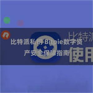 比特派私钥 Bitpie数字资产安全保障指南