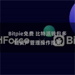 Bitpie免费 比特派钱包多链资产管理操作指南