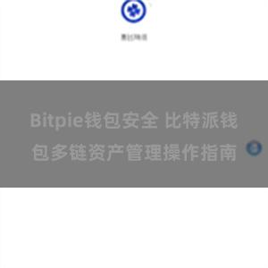 Bitpie钱包安全 比特派钱包多链资产管理操作指南