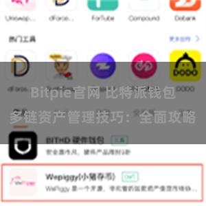 Bitpie官网 比特派钱包多链资产管理技巧：全面攻略