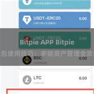 Bitpie APP Bitpie钱包使用技巧：多链资产管理全攻略