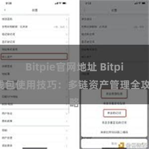 Bitpie官网地址 Bitpie钱包使用技巧：多链资产管理全攻略