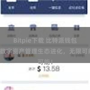 Bitpie下载 比特派钱包：数字资产管理生态进化，无限可能！