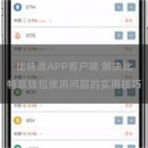 比特派APP客户端 解决比特派钱包使用问题的实用技巧