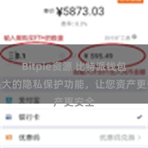 Bitpie资源 比特派钱包：强大的隐私保护功能，让您资产更安全