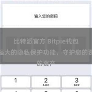 比特派官方 Bitpie钱包：强大的隐私保护功能，守护您的资产