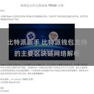 比特派新手 比特派钱包支持的主要区块链网络解析