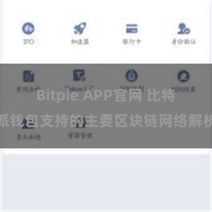 Bitpie APP官网 比特派钱包支持的主要区块链网络解析