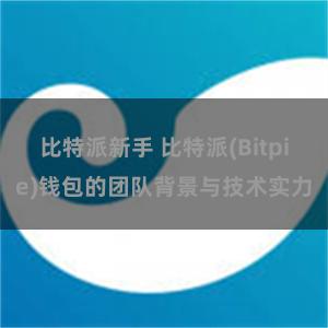 比特派新手 比特派(Bitpie)钱包的团队背景与技术实力