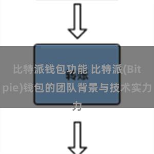 比特派钱包功能 比特派(Bitpie)钱包的团队背景与技术实力