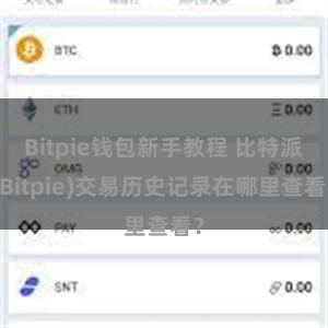 Bitpie钱包新手教程 比特派(Bitpie)交易历史记录在哪里查看？