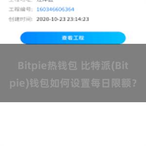 Bitpie热钱包 比特派(Bitpie)钱包如何设置每日限额？