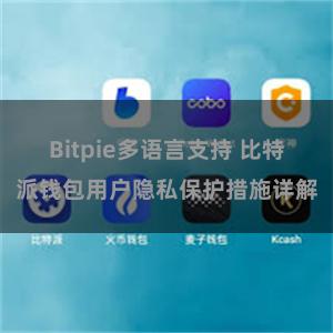 Bitpie多语言支持 比特派钱包用户隐私保护措施详解