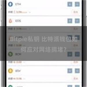 Bitpie私钥 比特派钱包如何应对网络拥堵？