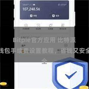 Bitpie官方应用 比特派钱包手续费设置教程，省钱又安全