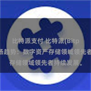 比特派支付 比特派(Bitpie)钱包市场趋势：数字资产存储领域领先者持续发展。