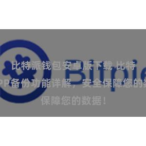 比特派钱包安卓版下载 比特派APP备份功能详解，安全保障您的数据！