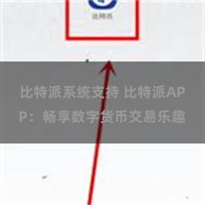 比特派系统支持 比特派APP：畅享数字货币交易乐趣