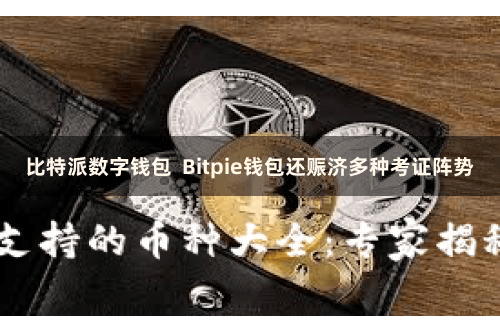 比特派数字钱包  Bitpie钱包还赈济多种考证阵势