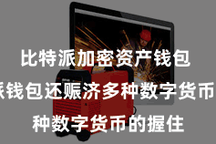 比特派加密资产钱包  比特派钱包还赈济多种数字货币的握住