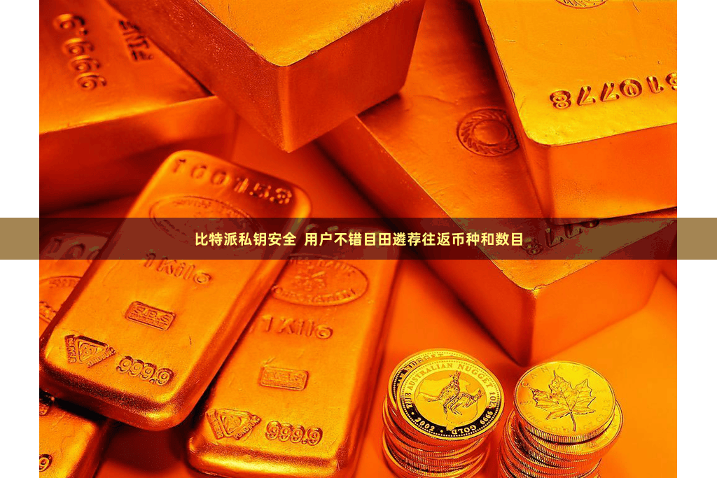 比特派私钥安全  用户不错目田遴荐往返币种和数目